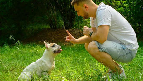 Simple Training Methods Help Stop Dogs From Excessive Barking