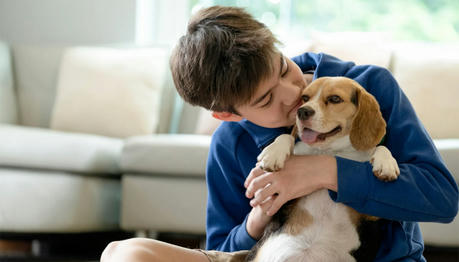 7 Things You Do That Your Pet Secretly Hates