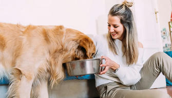 9 Pet Feeding Mistakes That Slowly Harm Your Dog's Health