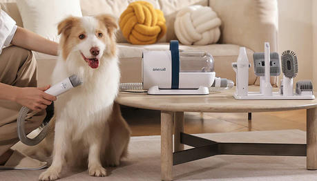 10 Smart Pet Gadgets That Make Everyday Pet Care Easier