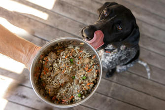 Raw vs. Cooked Pet Food: What's Best for Your Dog or Cat's Health?