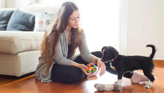 9 Fun and Effective Training Games to Play with Your Pet Indoors