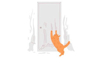Stop Your Cat's Scratching: Proven Training Methods to Protect Your Furniture and Save Your Home
